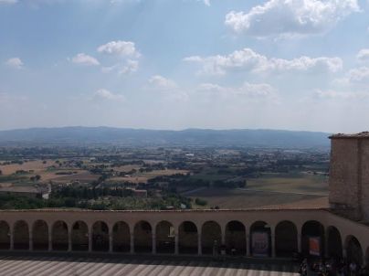 assisi6