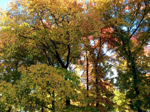 Giardino Valentino Bompiani
